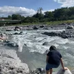モササウルス